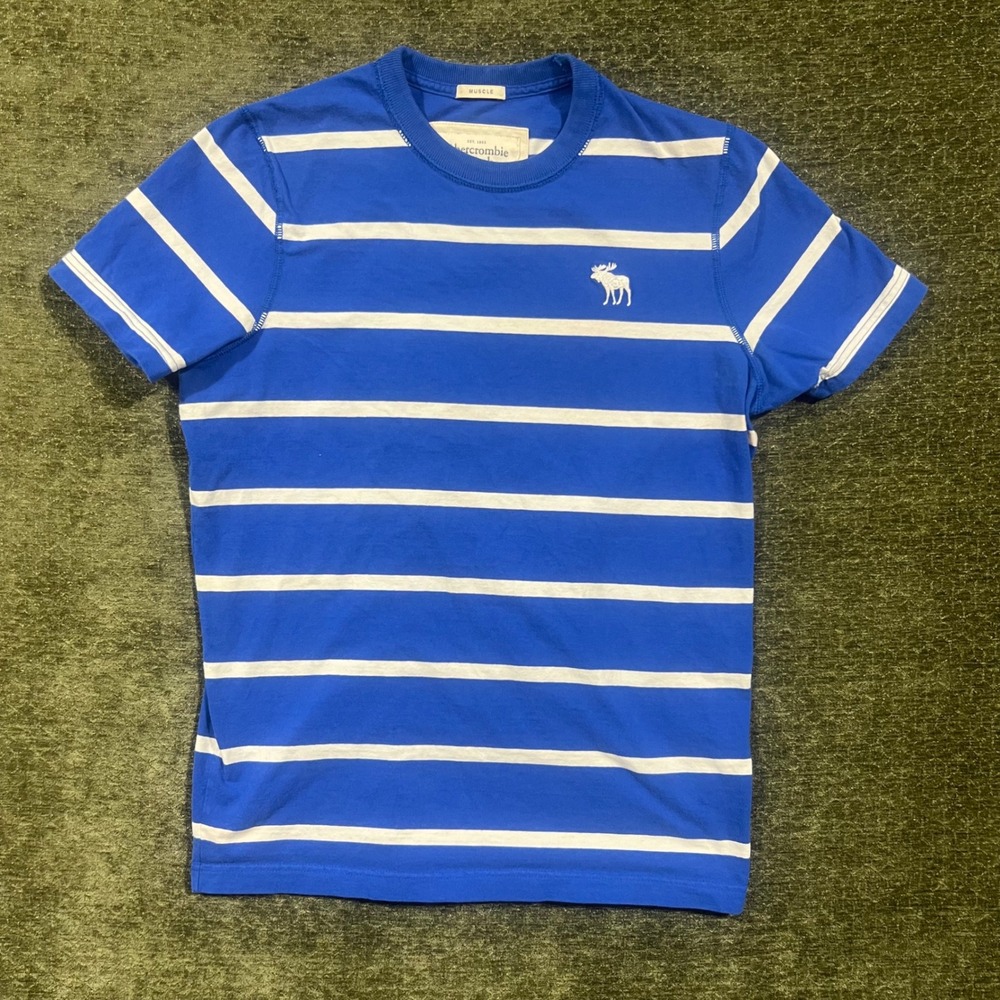 Abercrombie & Fitch T-Shirt Mens Large Blue Striped Muscle Fit Moose Logo